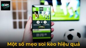 Kèo Nhà Cái 8Day – Khám Phá Thế Giới Cá Cược Đỉnh Cao, Tỷ Lệ Cực Hấp Dẫn