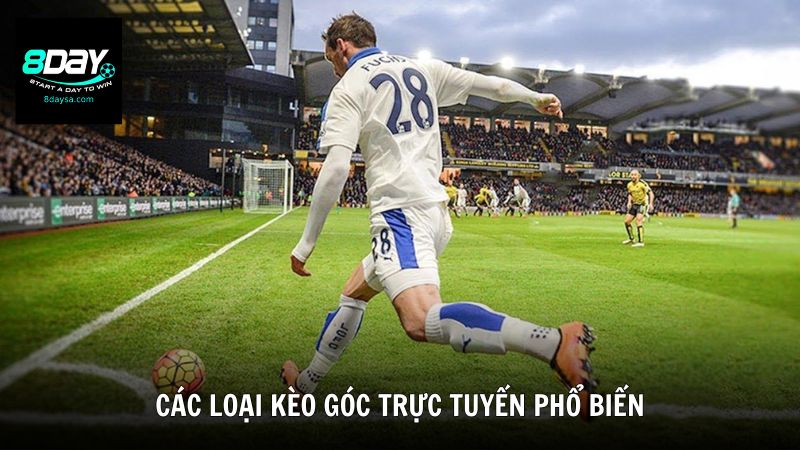Các loại kèo góc trực tuyến phổ biến cho người mới