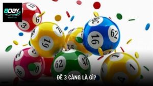 Đề 3 càng là gì?