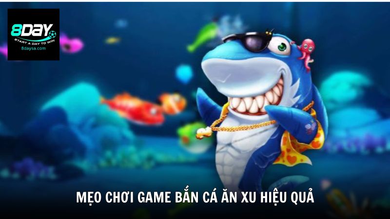 Mẹo chơi game bắn cá ăn xu hiệu quả được 8DAY bật mí
